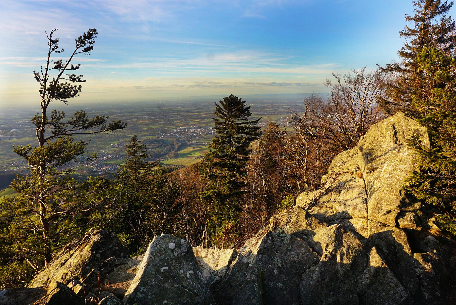 Aussicht am Omerskopf